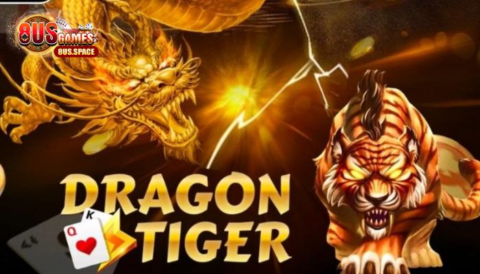 Nên chơi game bài rồng hổ cá cược ở đâu?